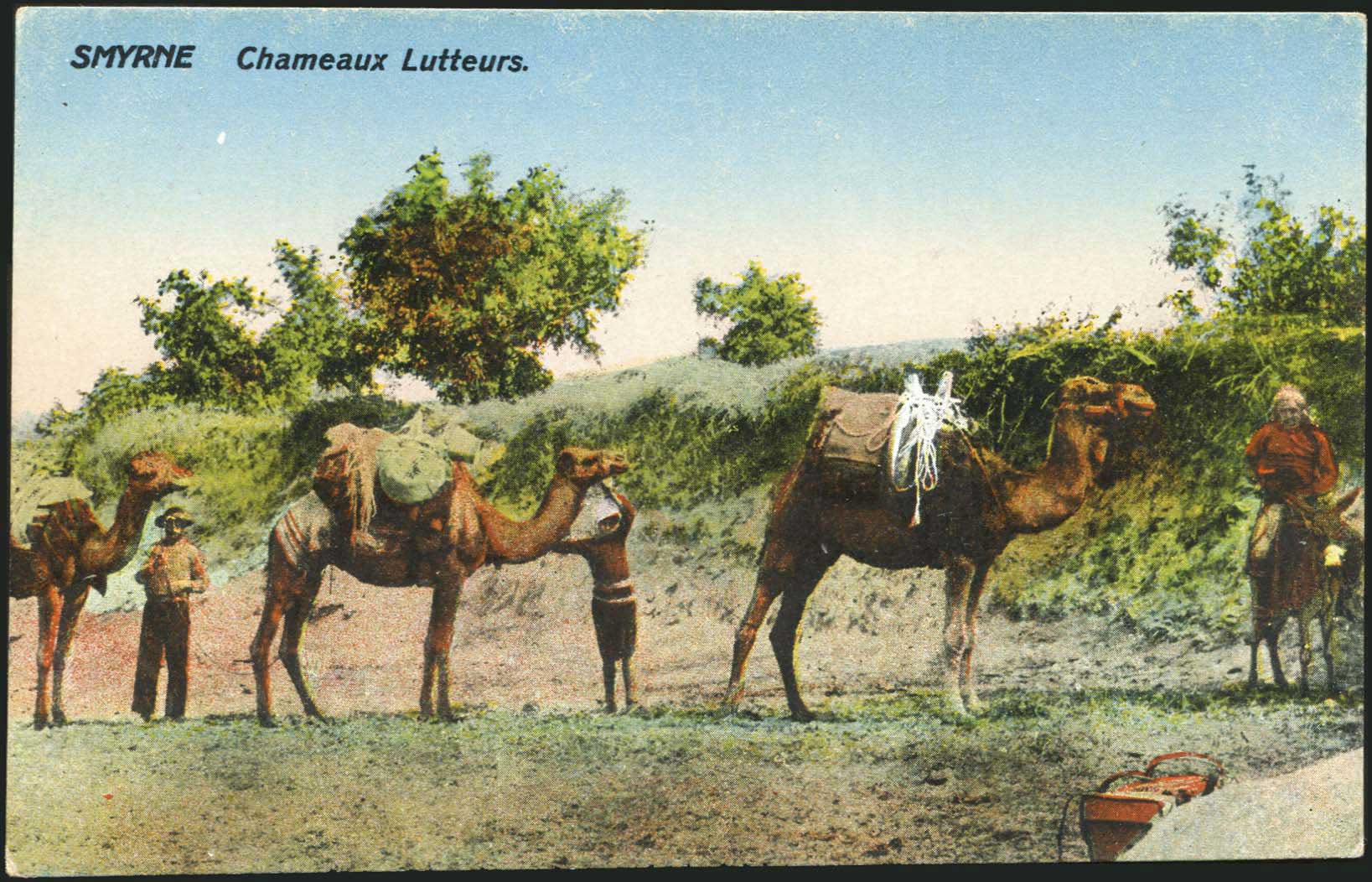 Lot 02126