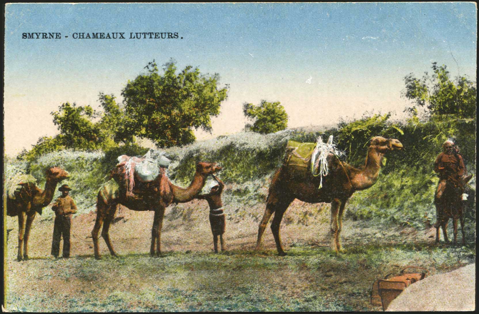 Lot 01737