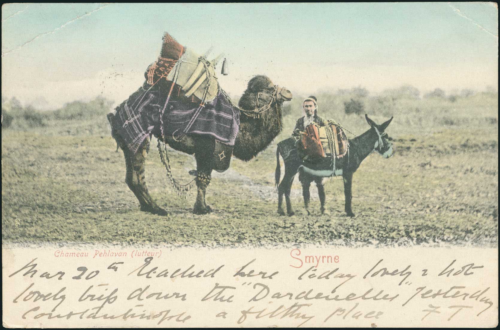 Lot 01815