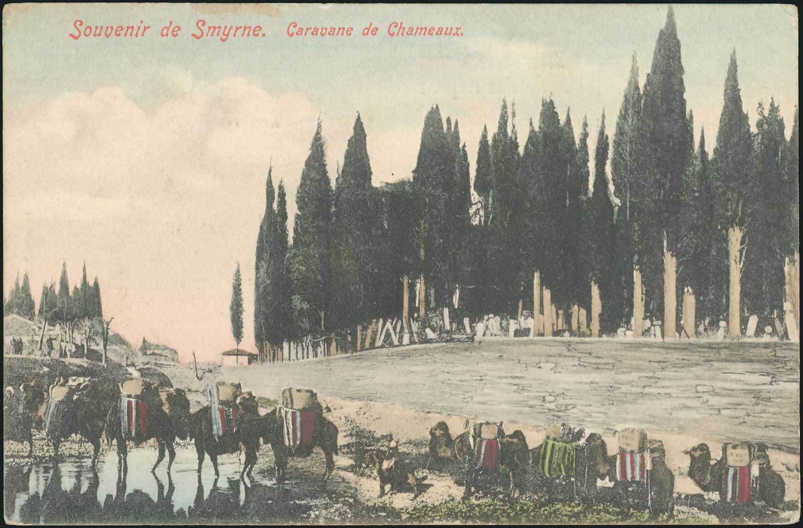 Lot 01878