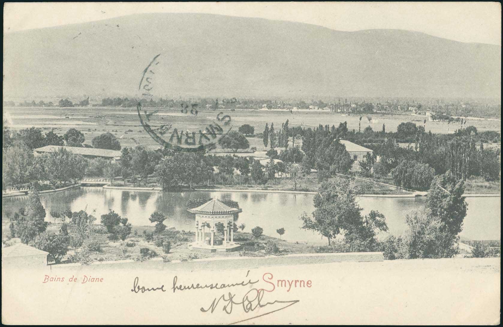 Lot 01916