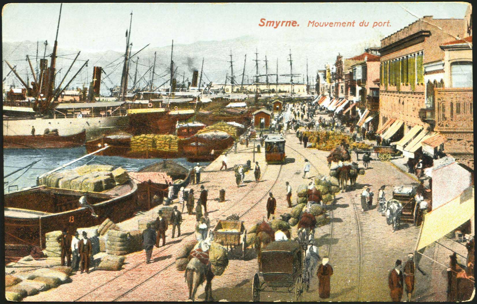 Lot 01677