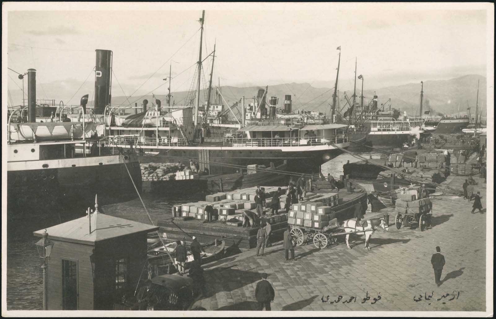 Lot 02448