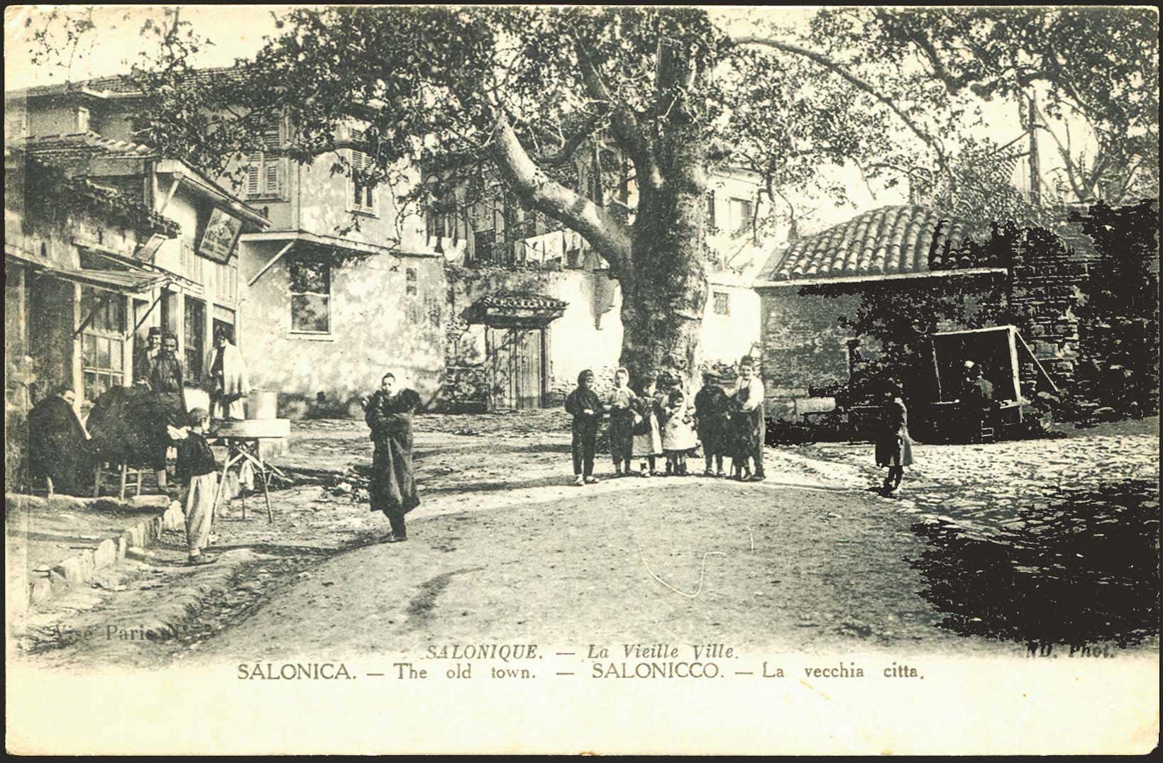 Lot 02385