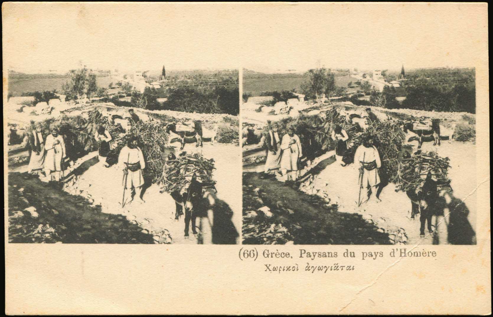 Lot 06913