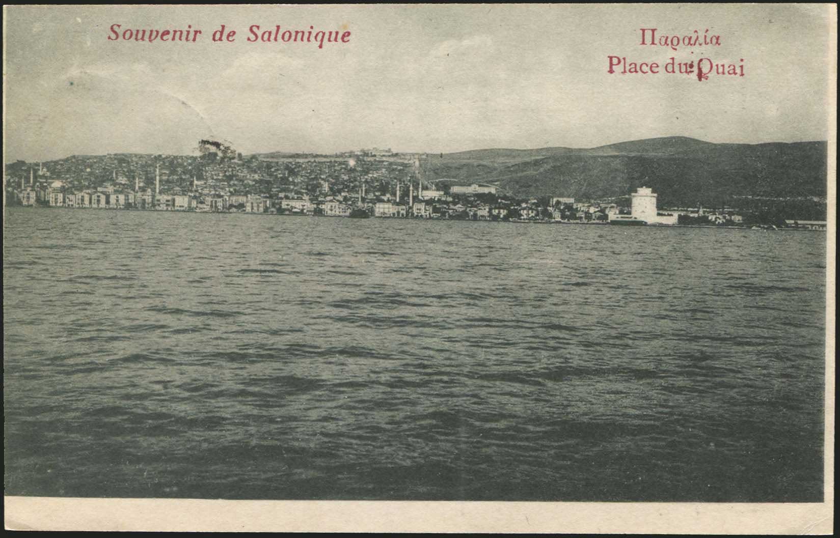 Lot 01556