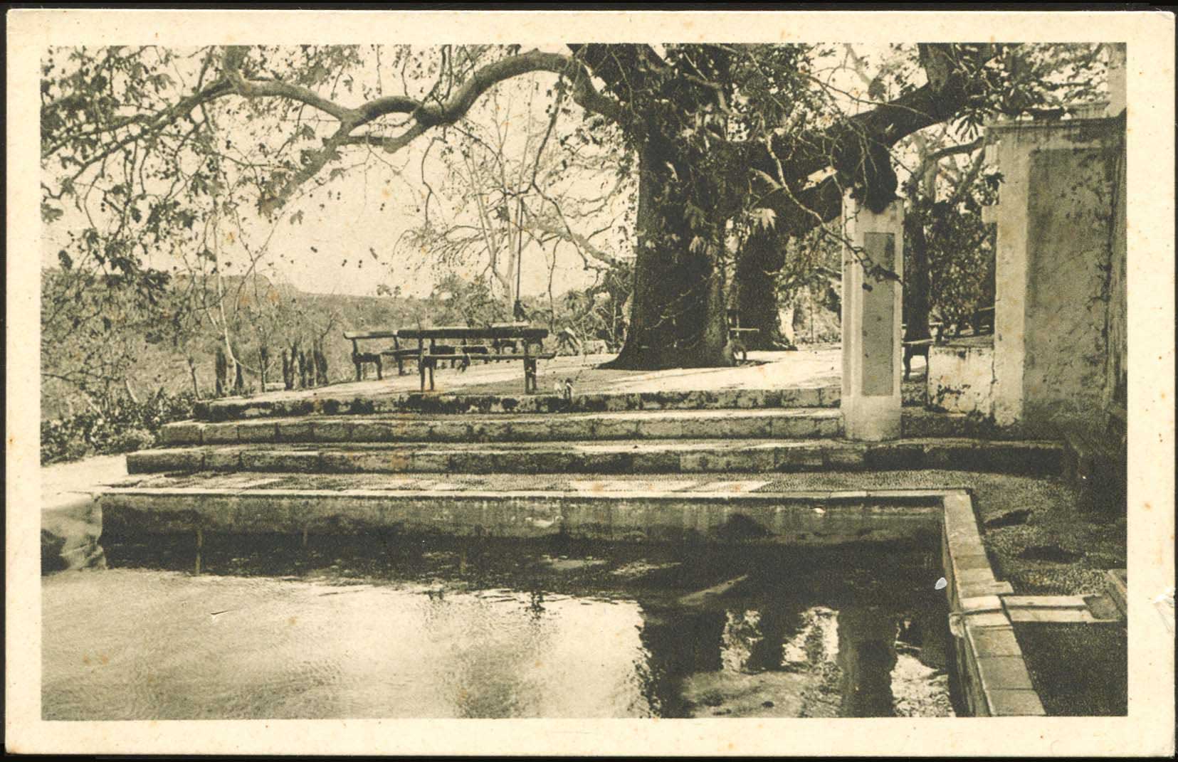 Lot 01715