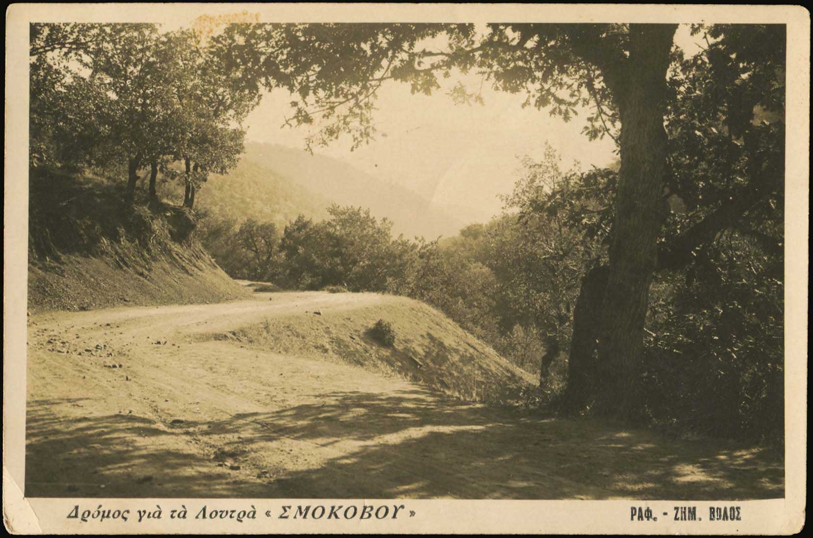 Lot 02309