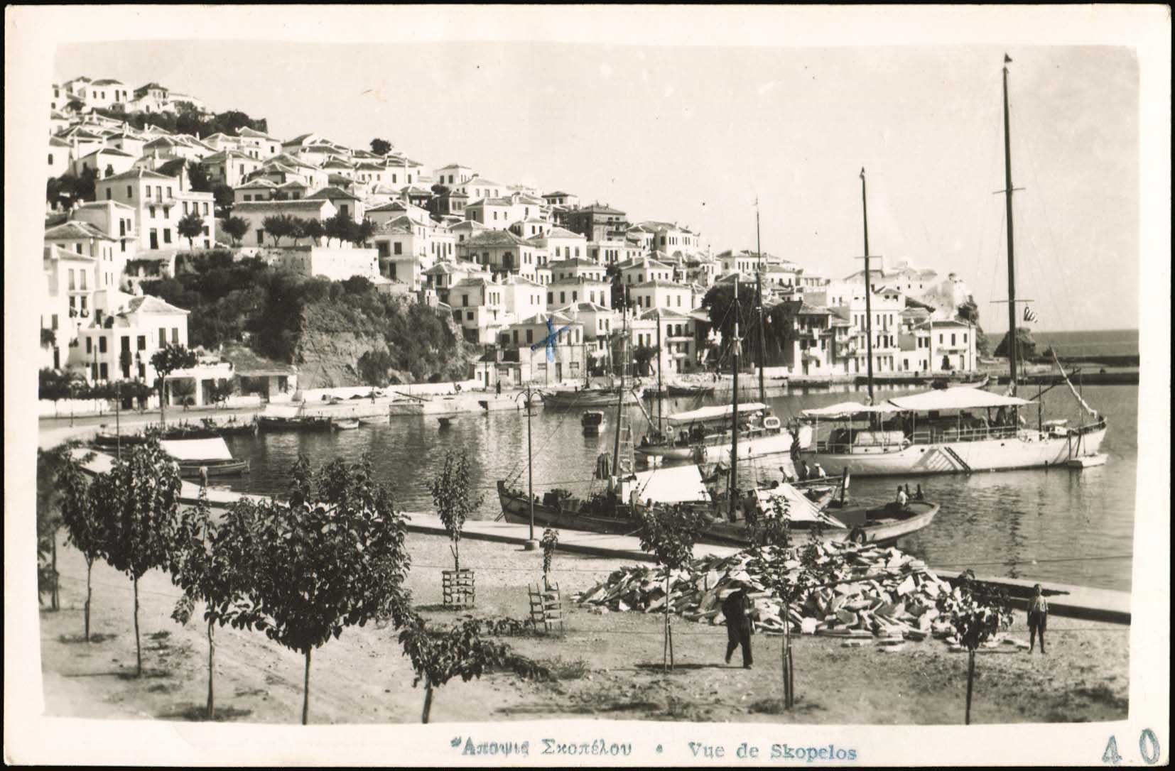 Lot 02113