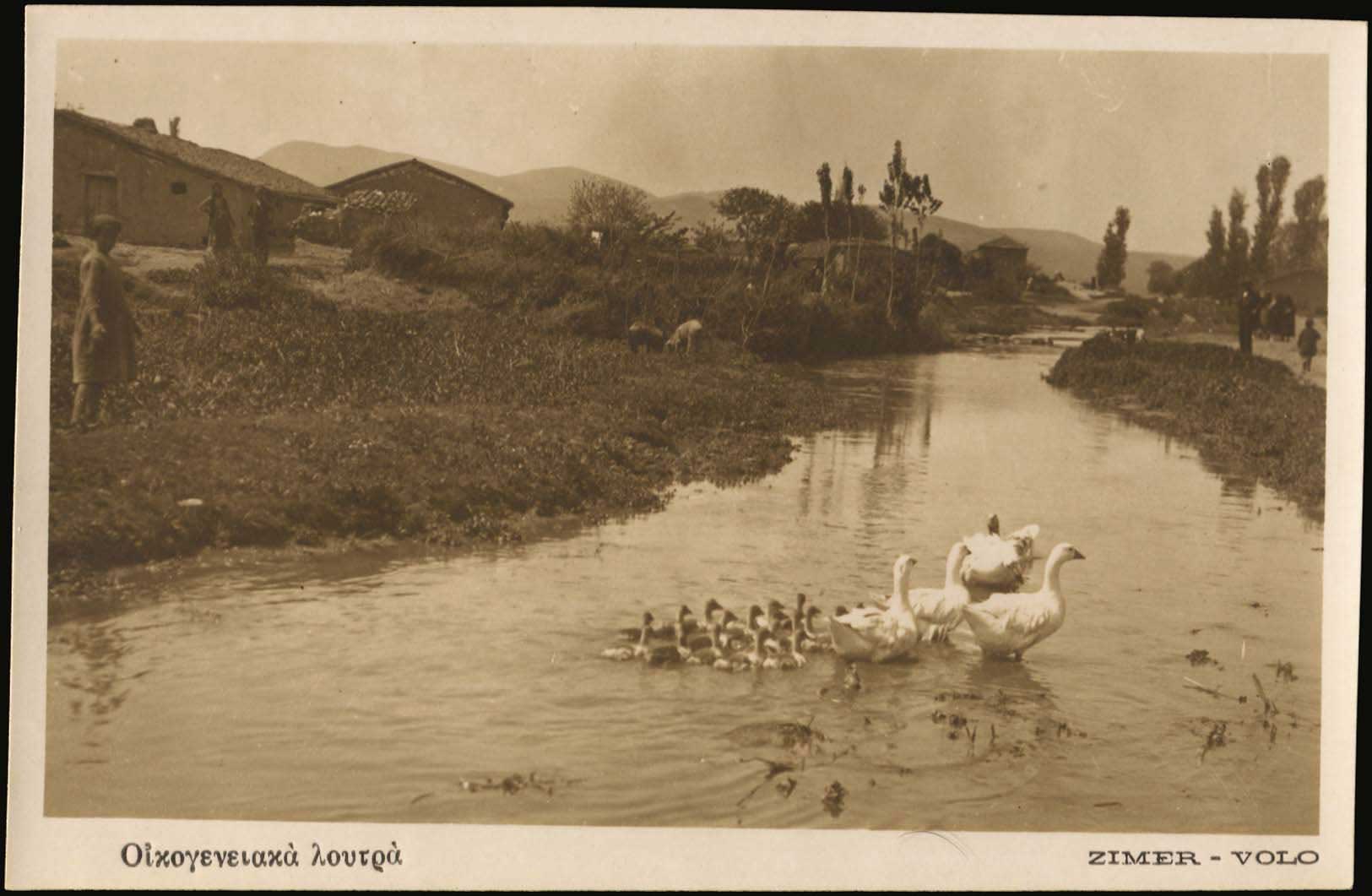 Lot 02225