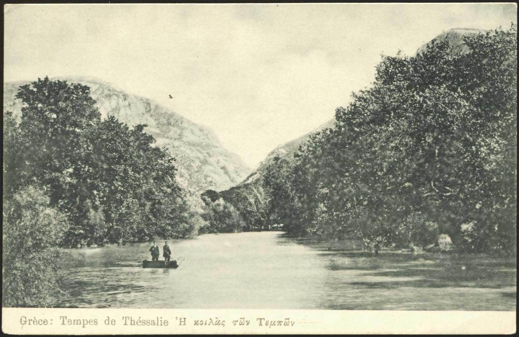 Lot 01619