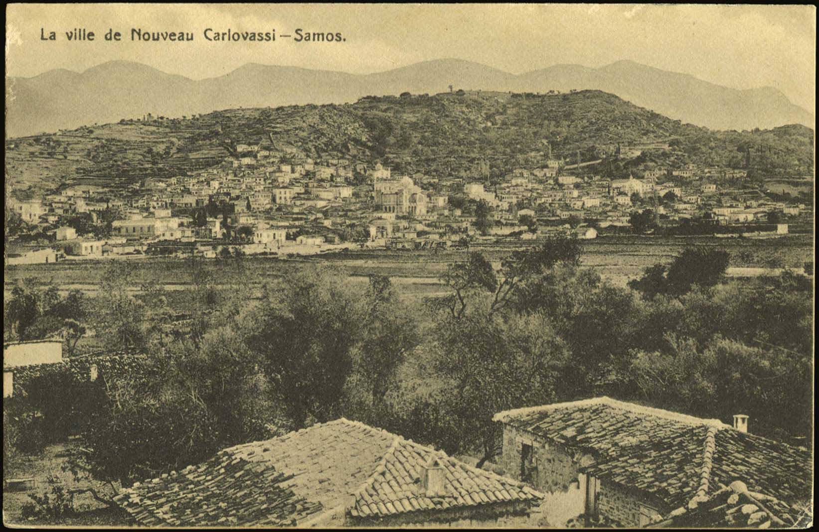 Lot 01407