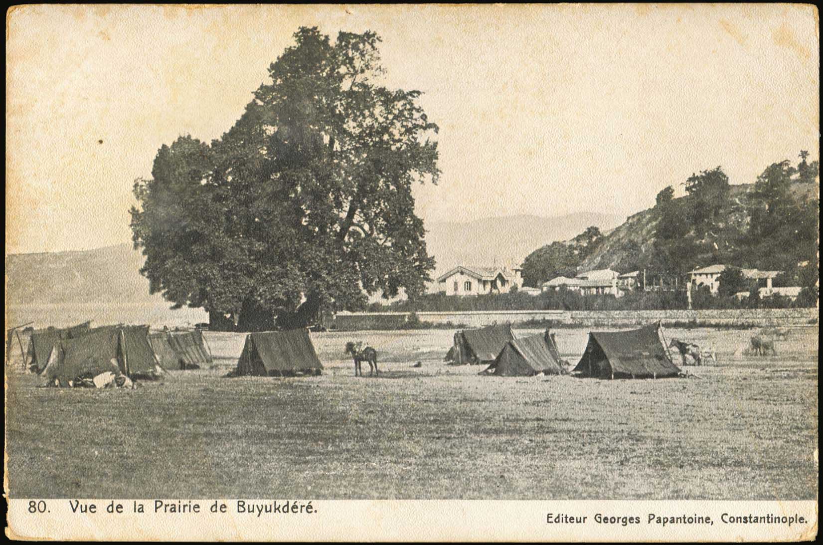Lot 01832