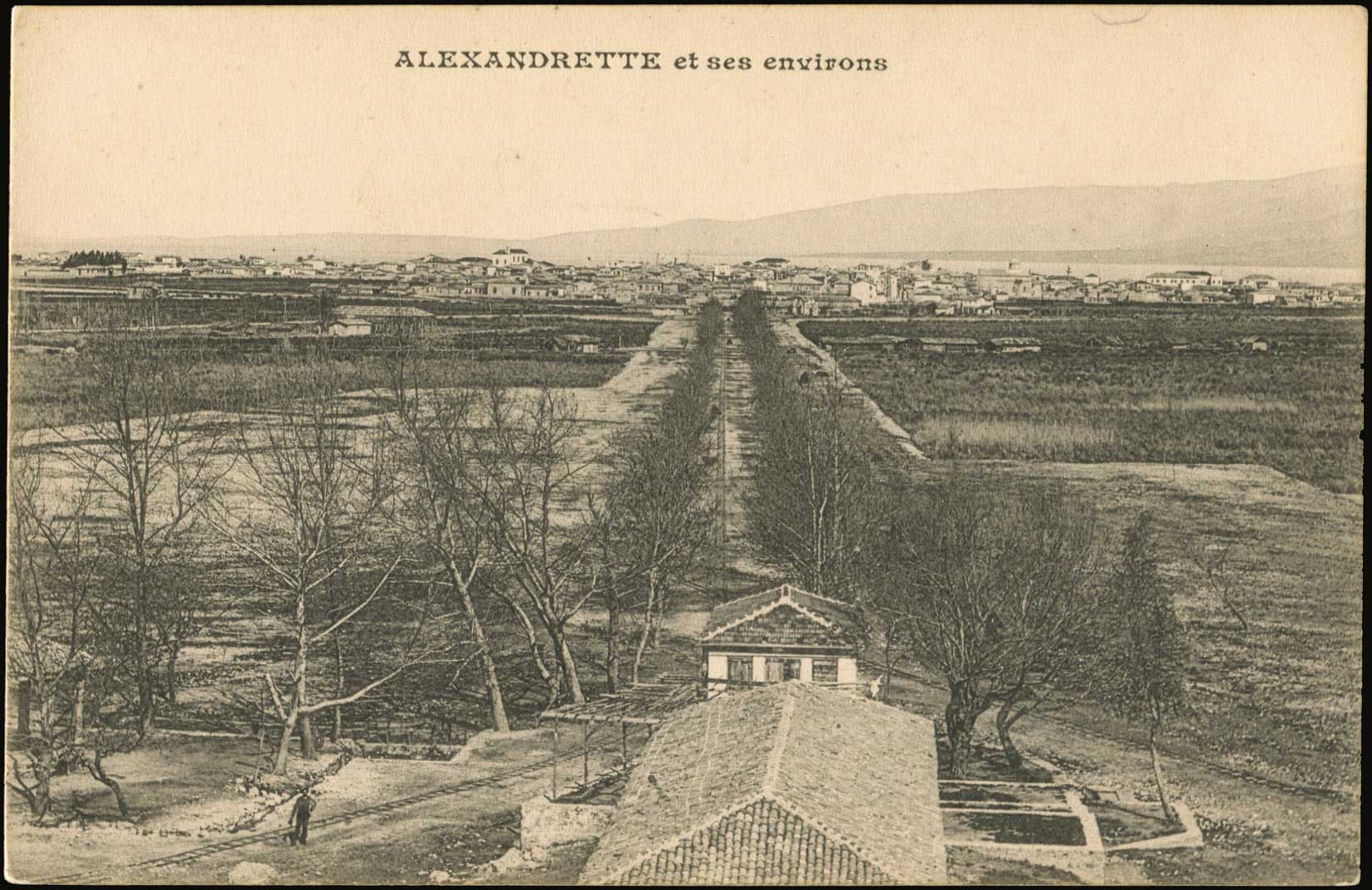 Lot 01874