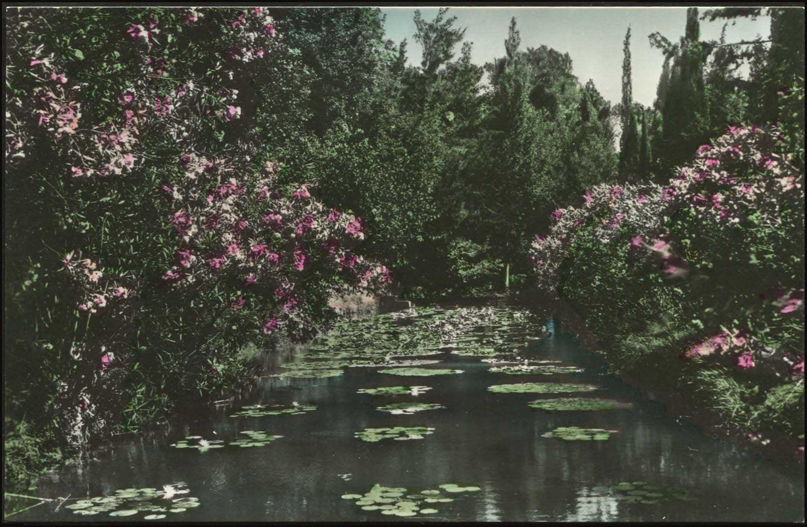 Lot 01905