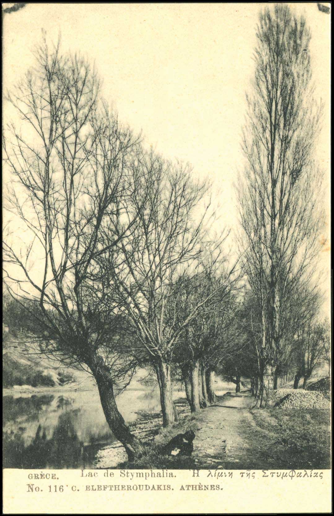 Lot 01450