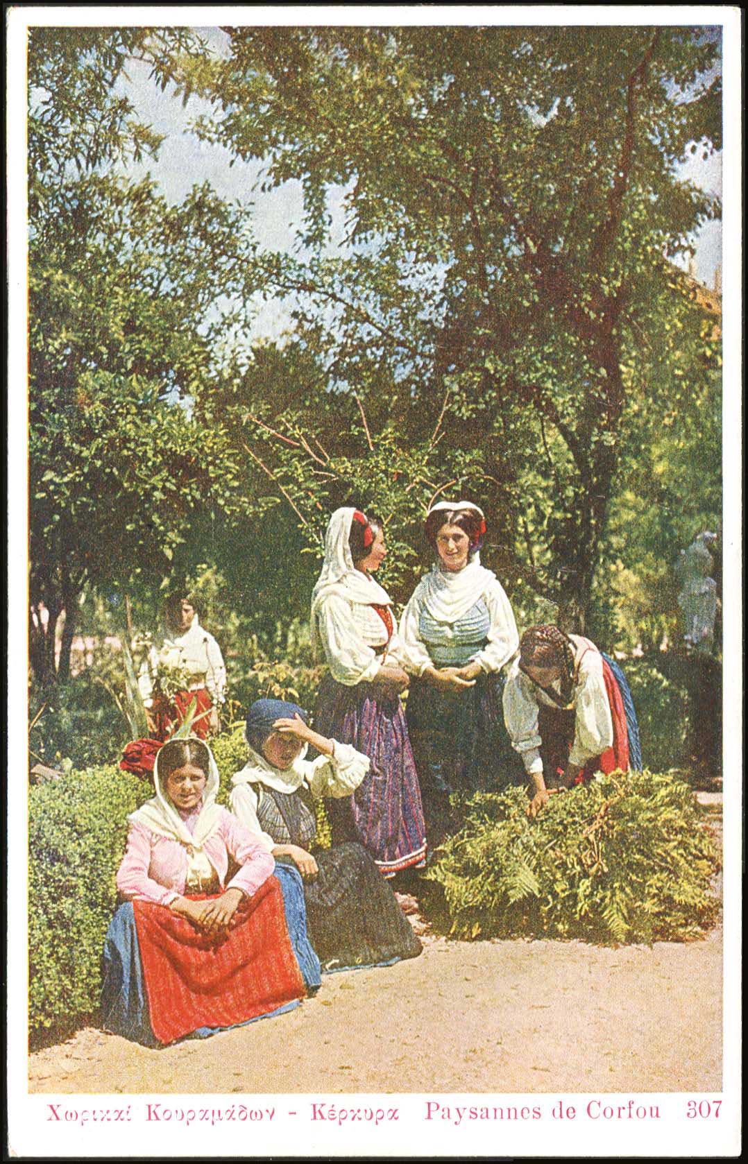 Lot 01516