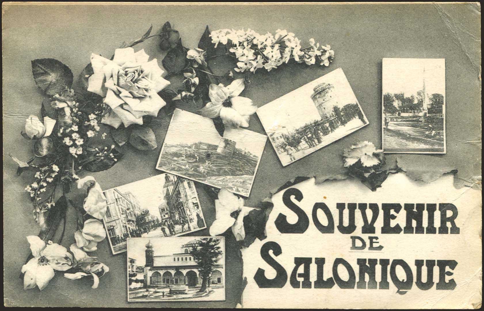 Lot 01869
