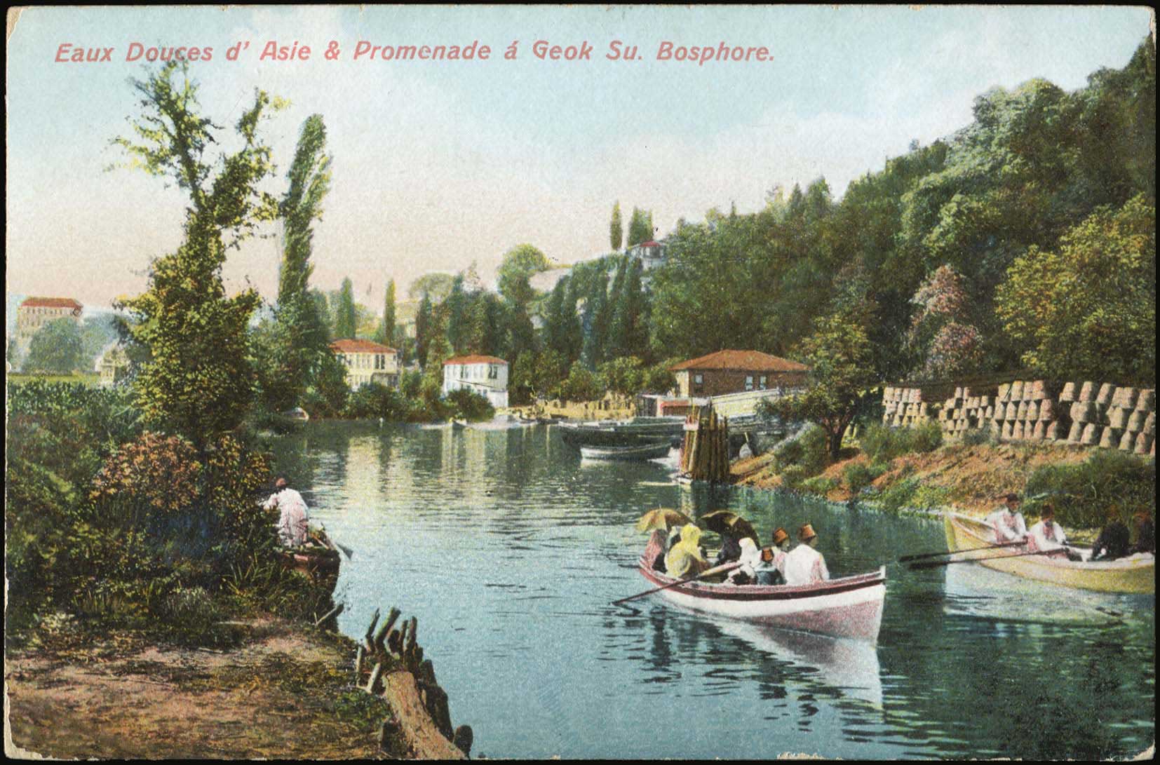 Lot 01593