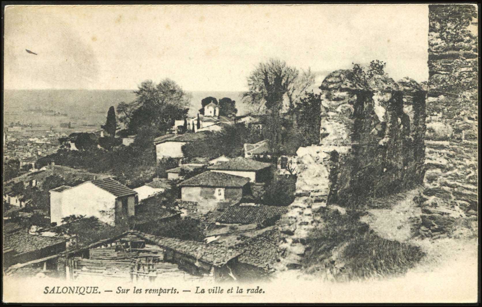 Lot 03239