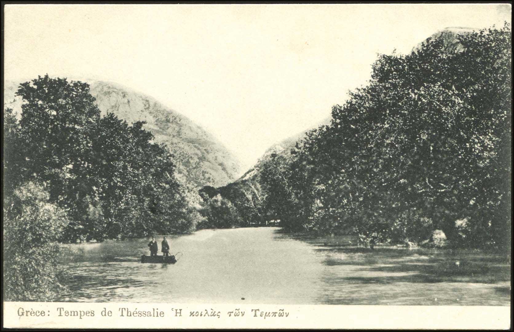 Lot 01939
