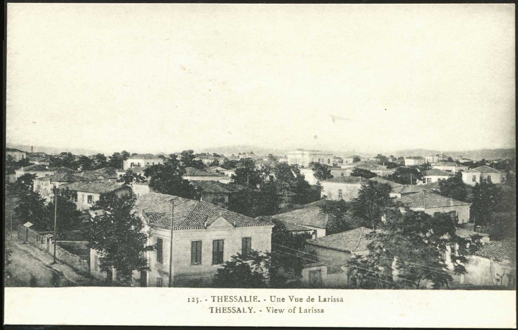 Lot 01575