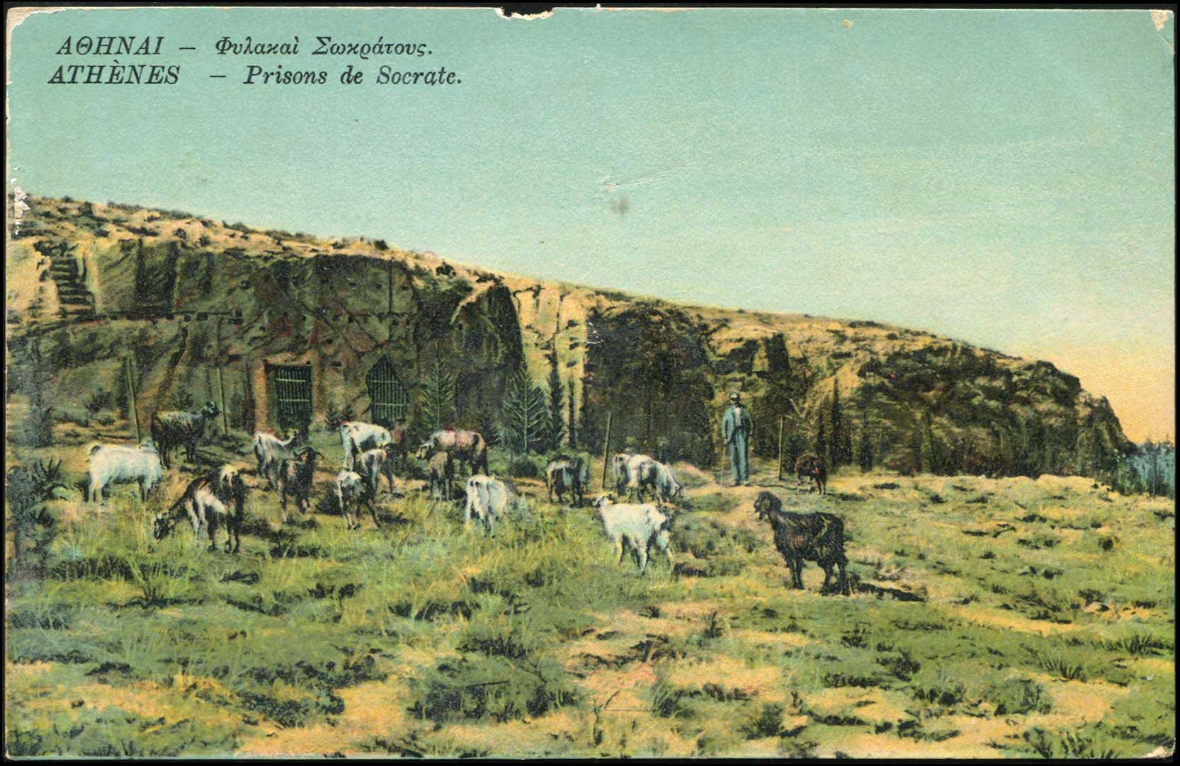 Lot 01486
