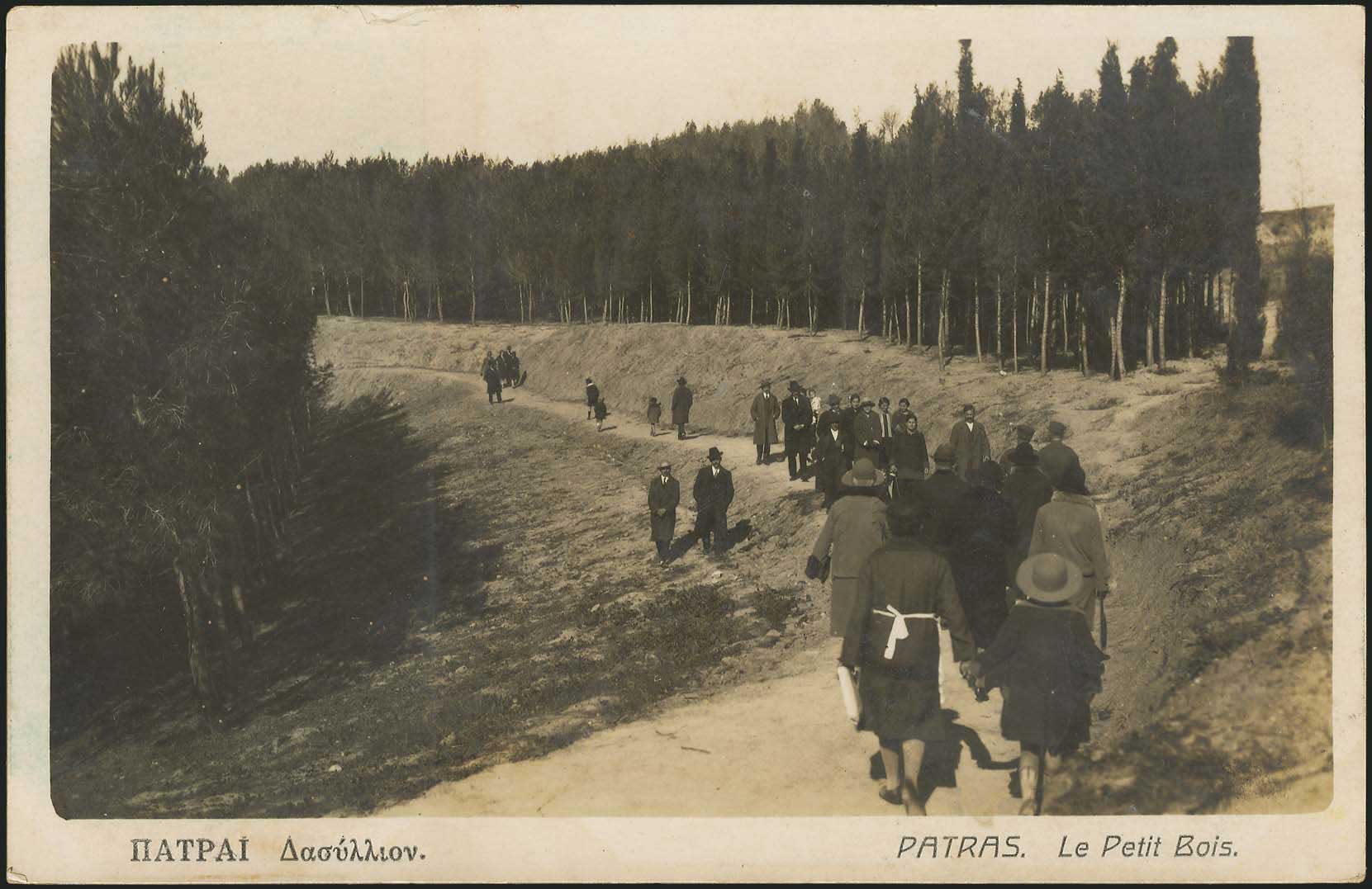 Lot 01803