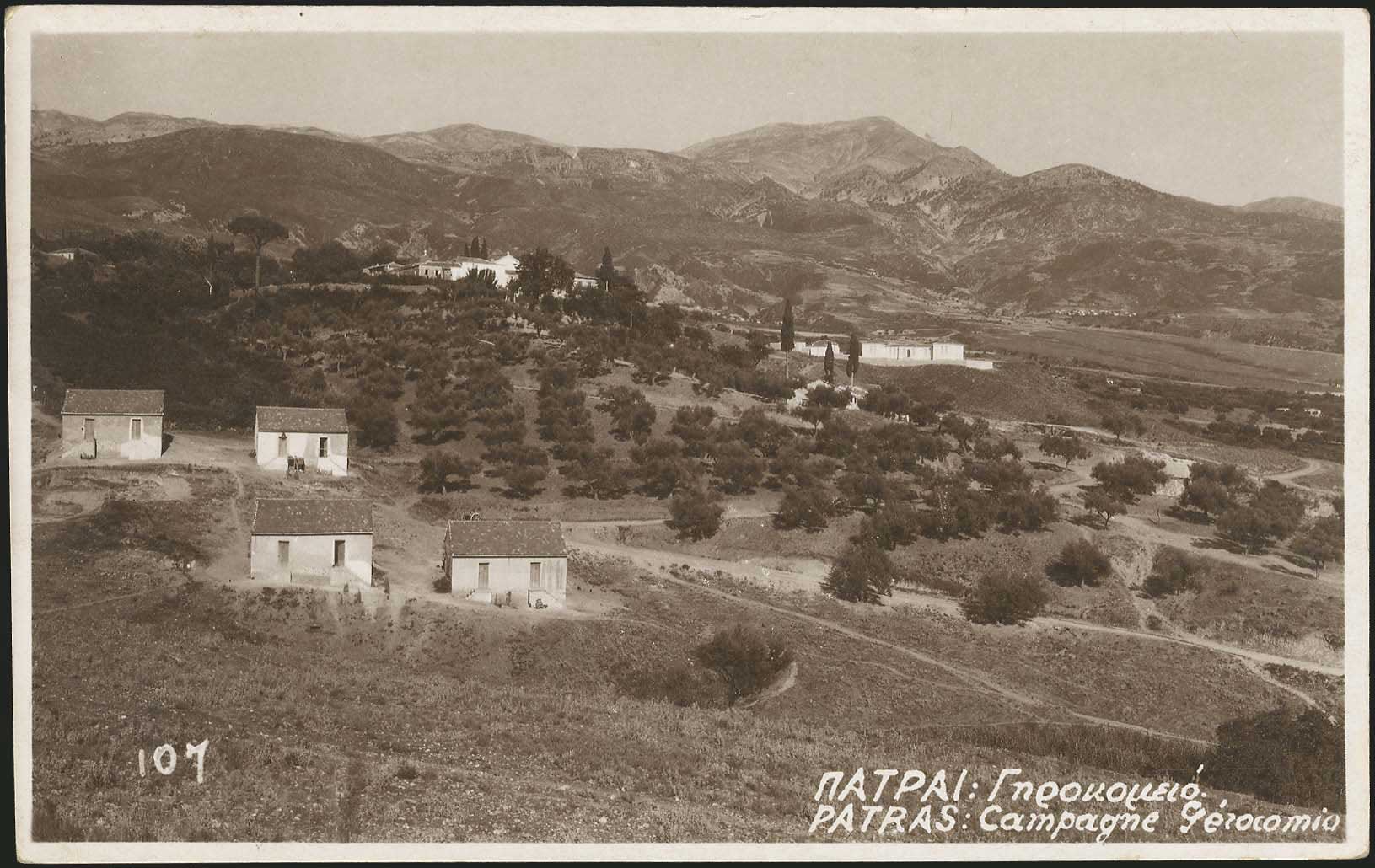 Lot 01906