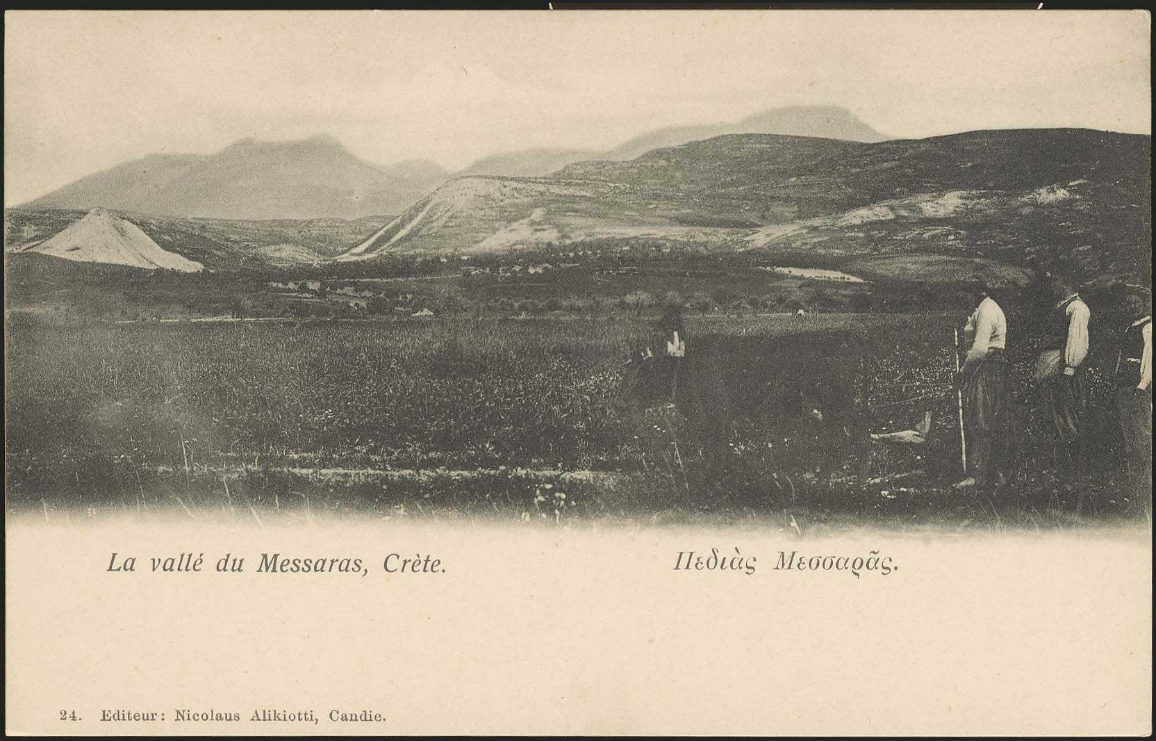 Lot 01284