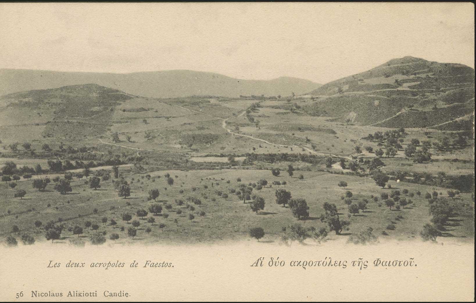 Lot 01357
