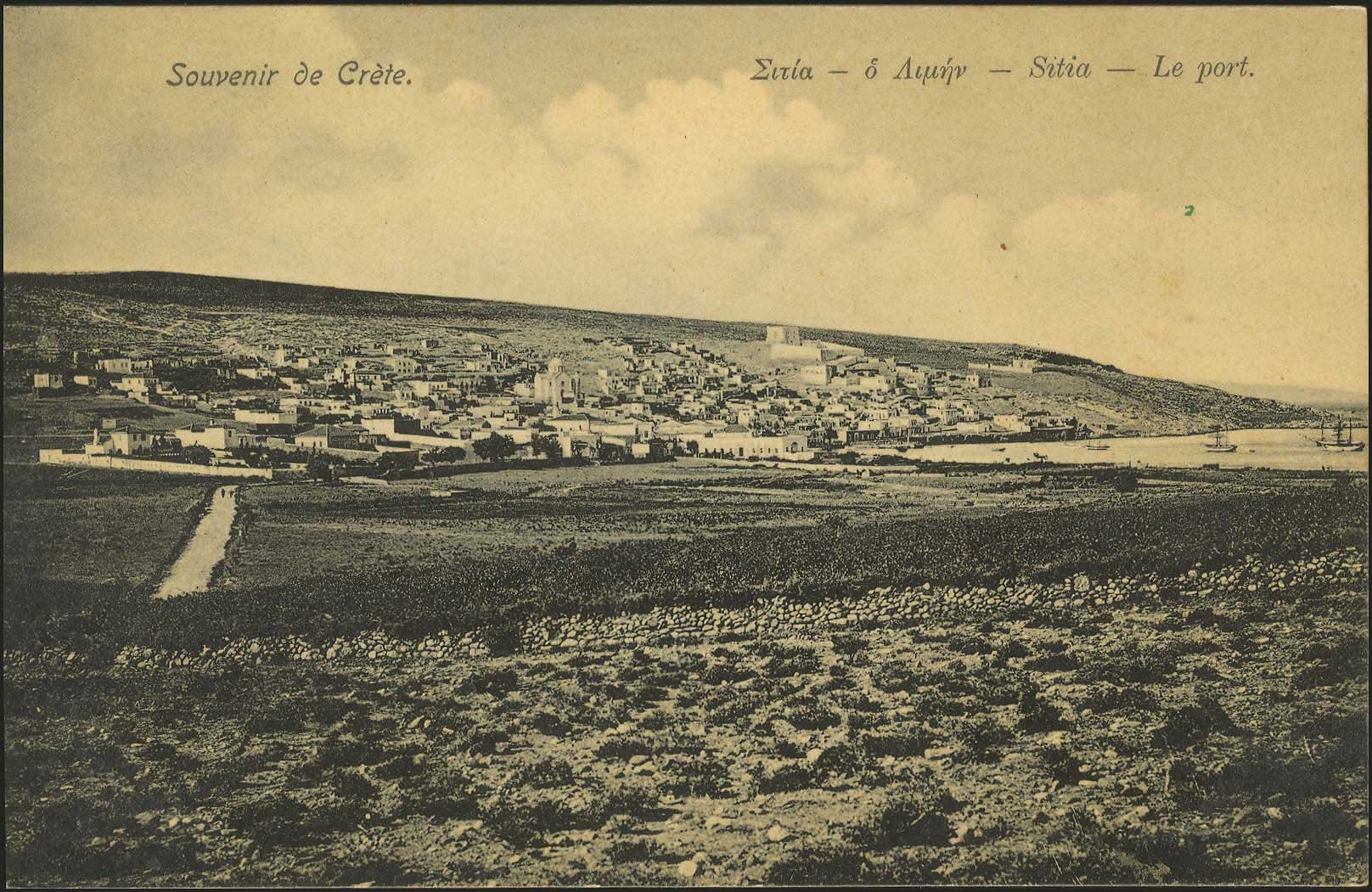 Lot 01407
