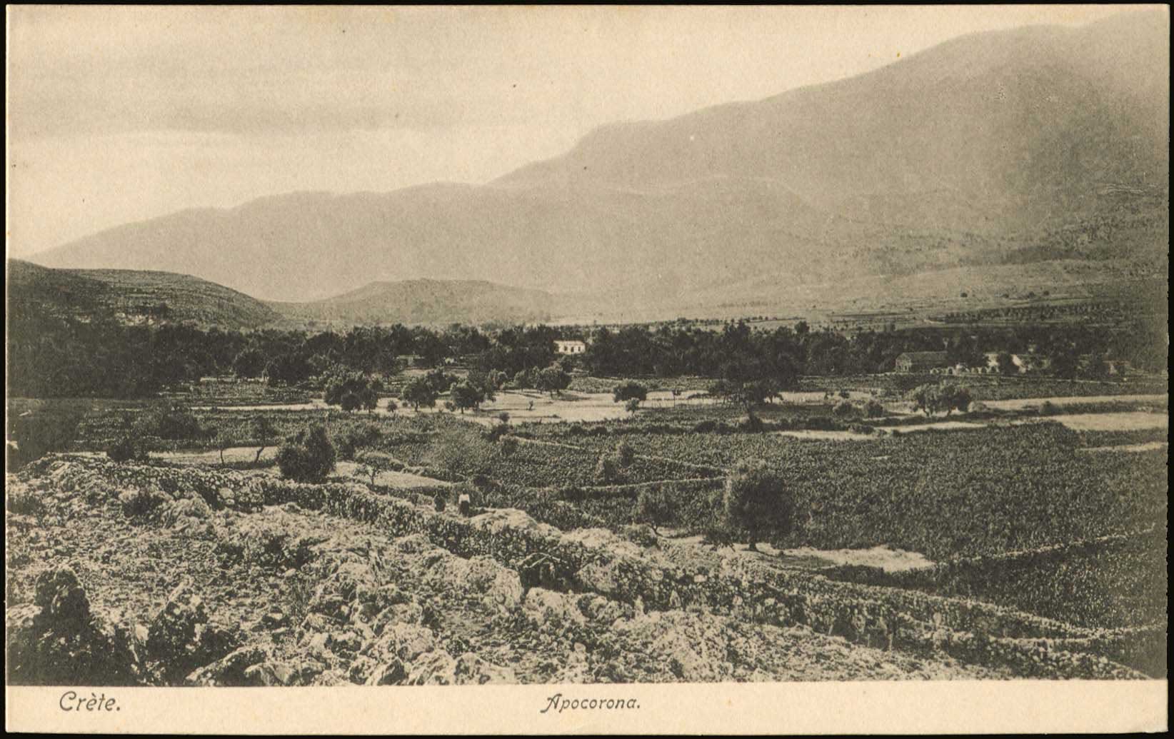 Lot 01274