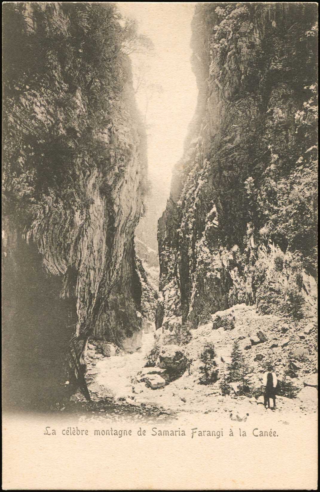 Lot 01392