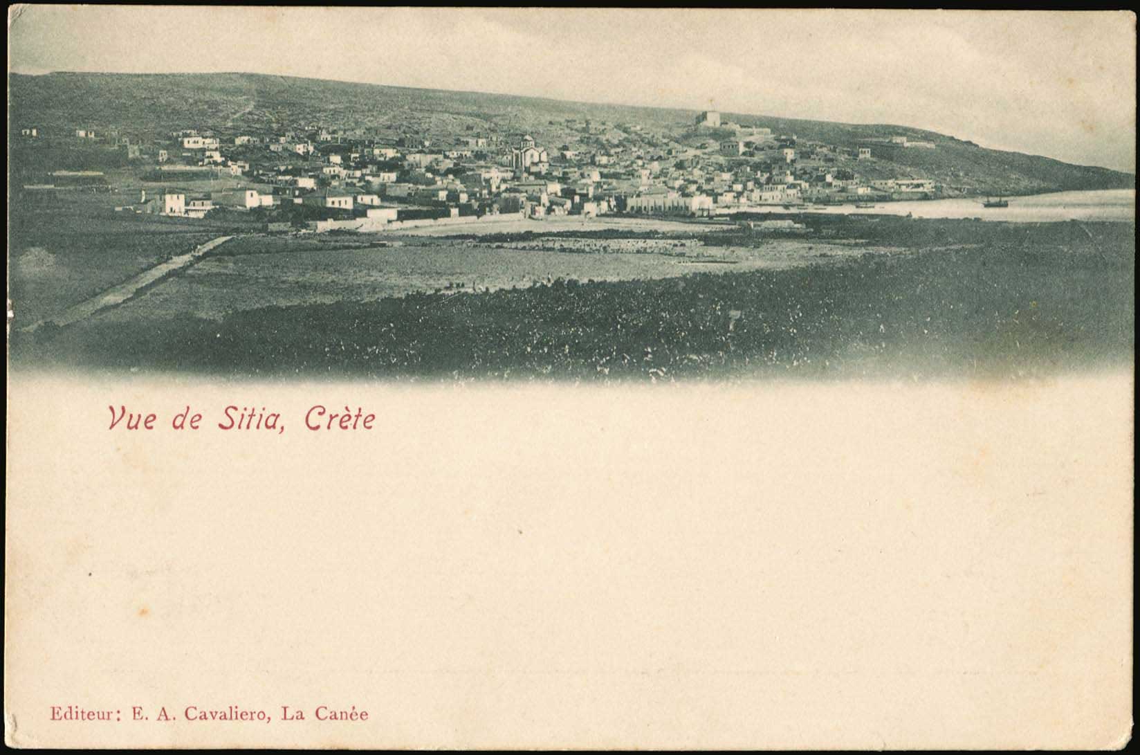 Lot 01359