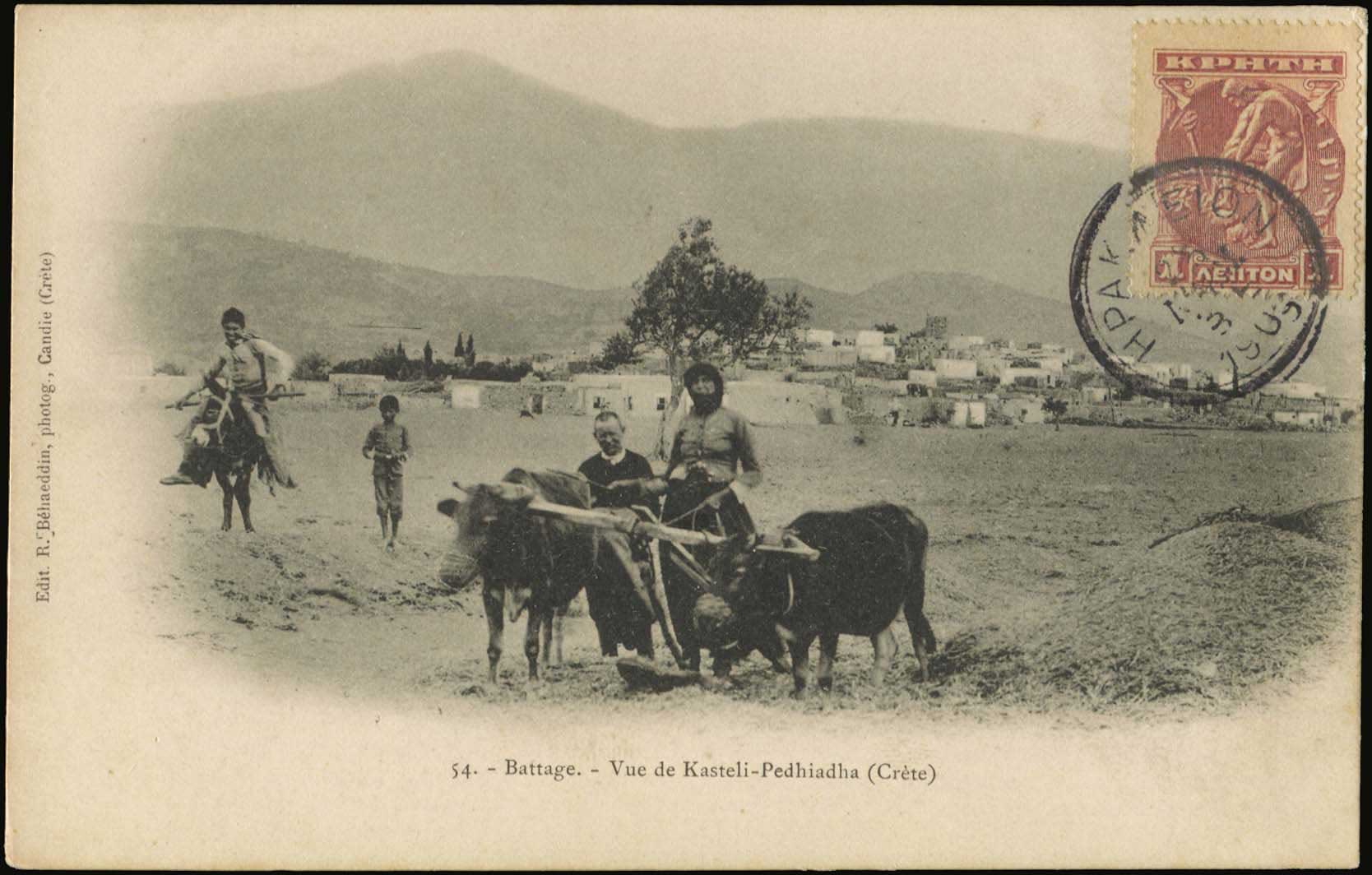 Lot 01331