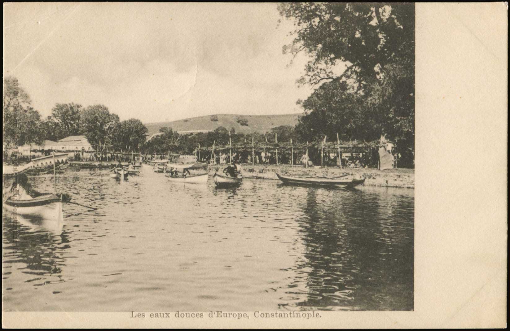 Lot 02337