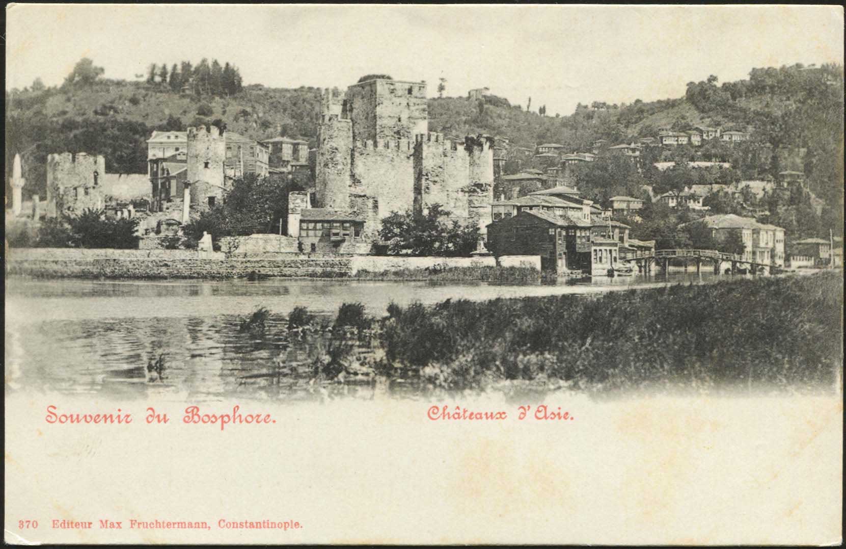 Lot 01559