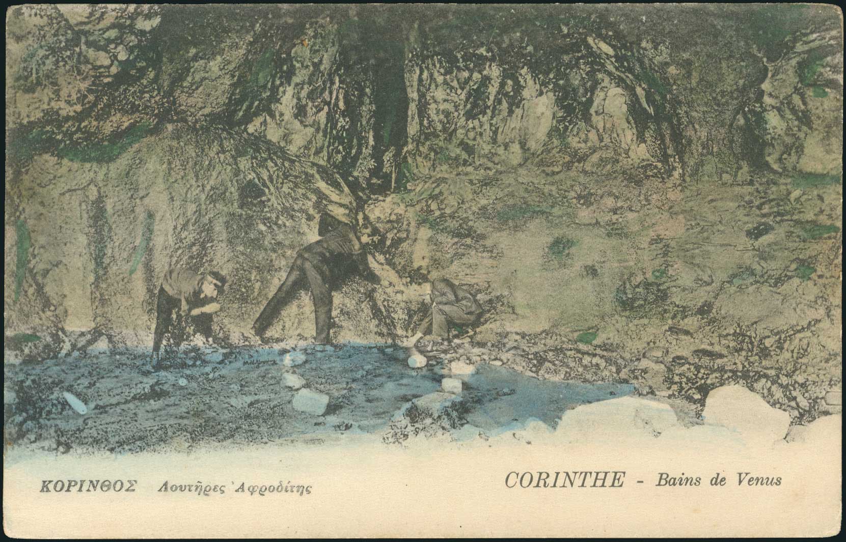 Lot 01446