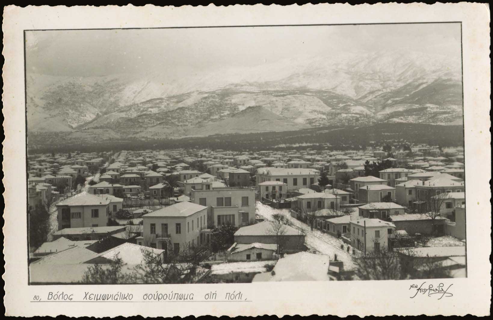 Lot 01442