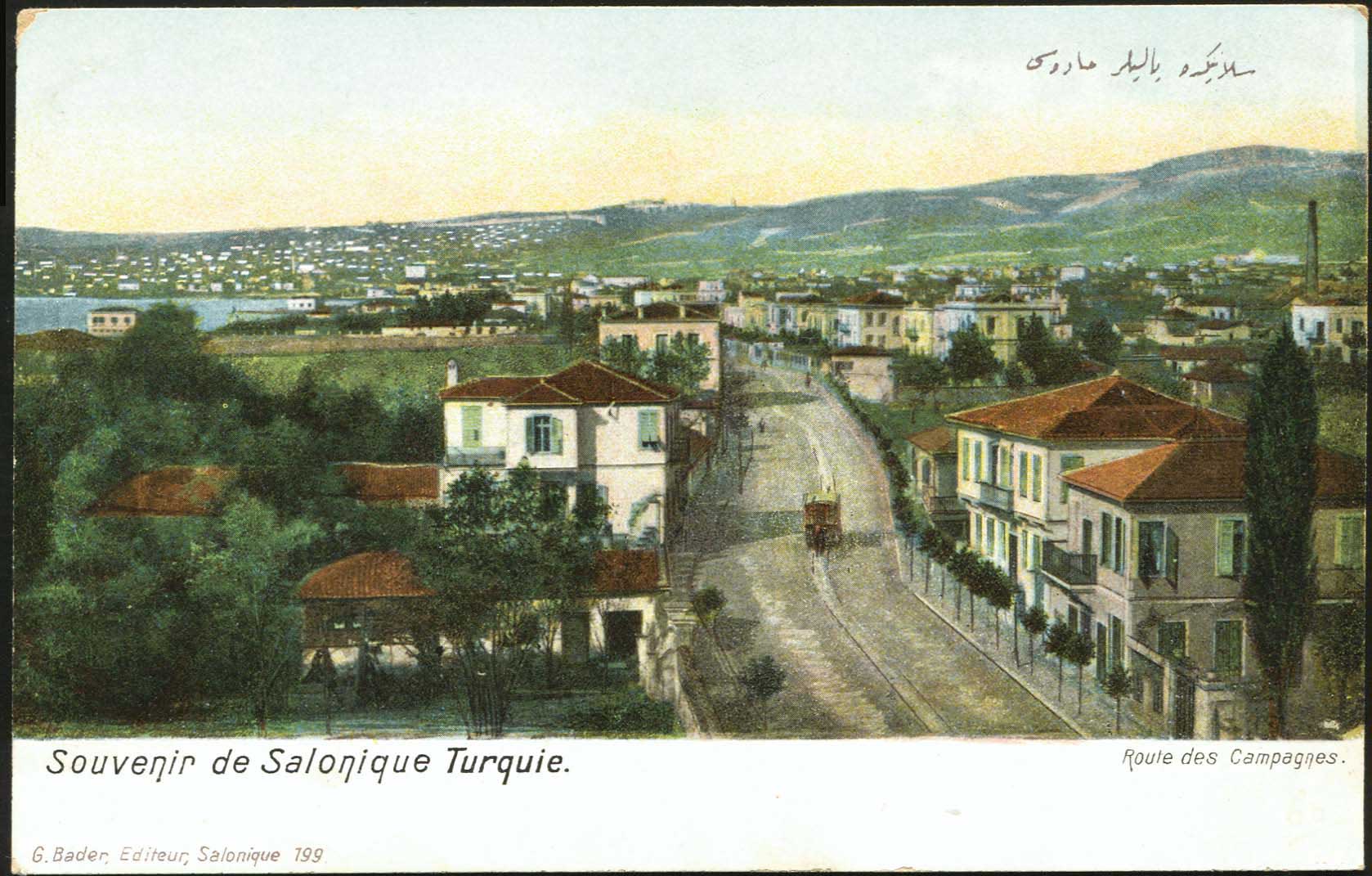 Lot 07076