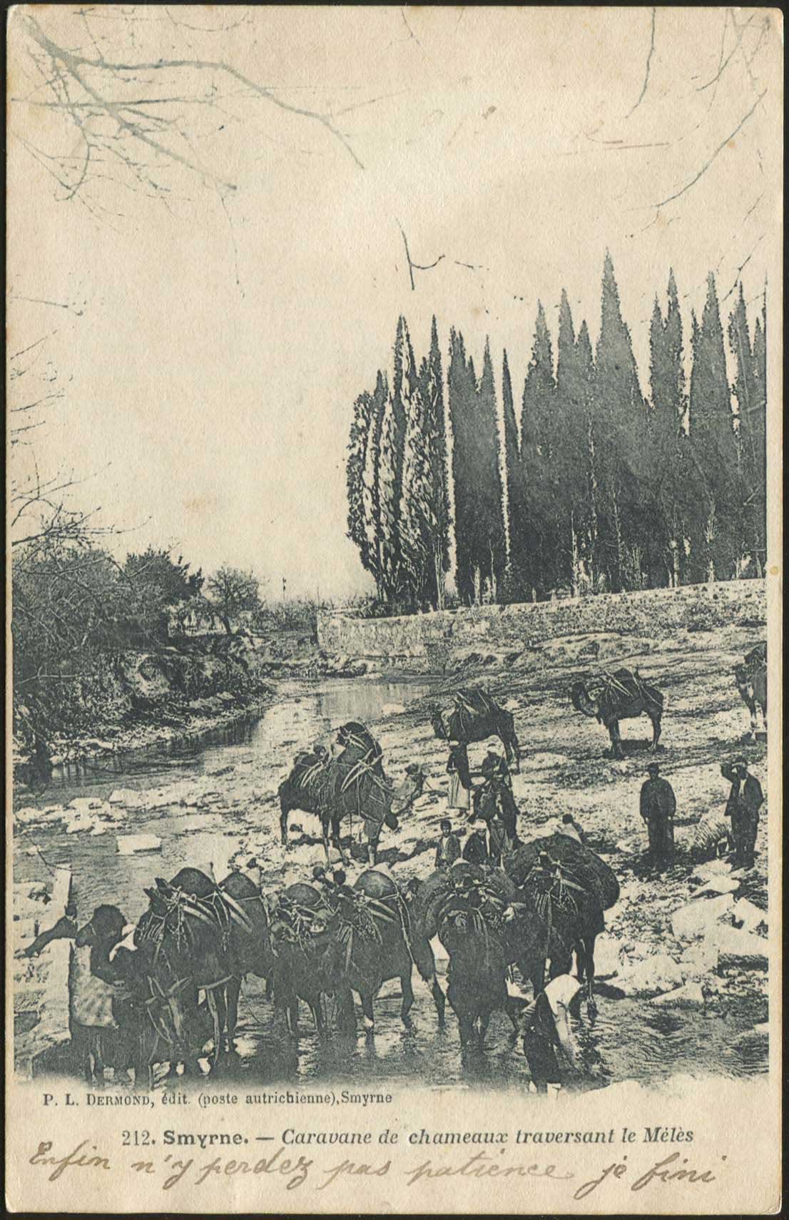 Lot 02390