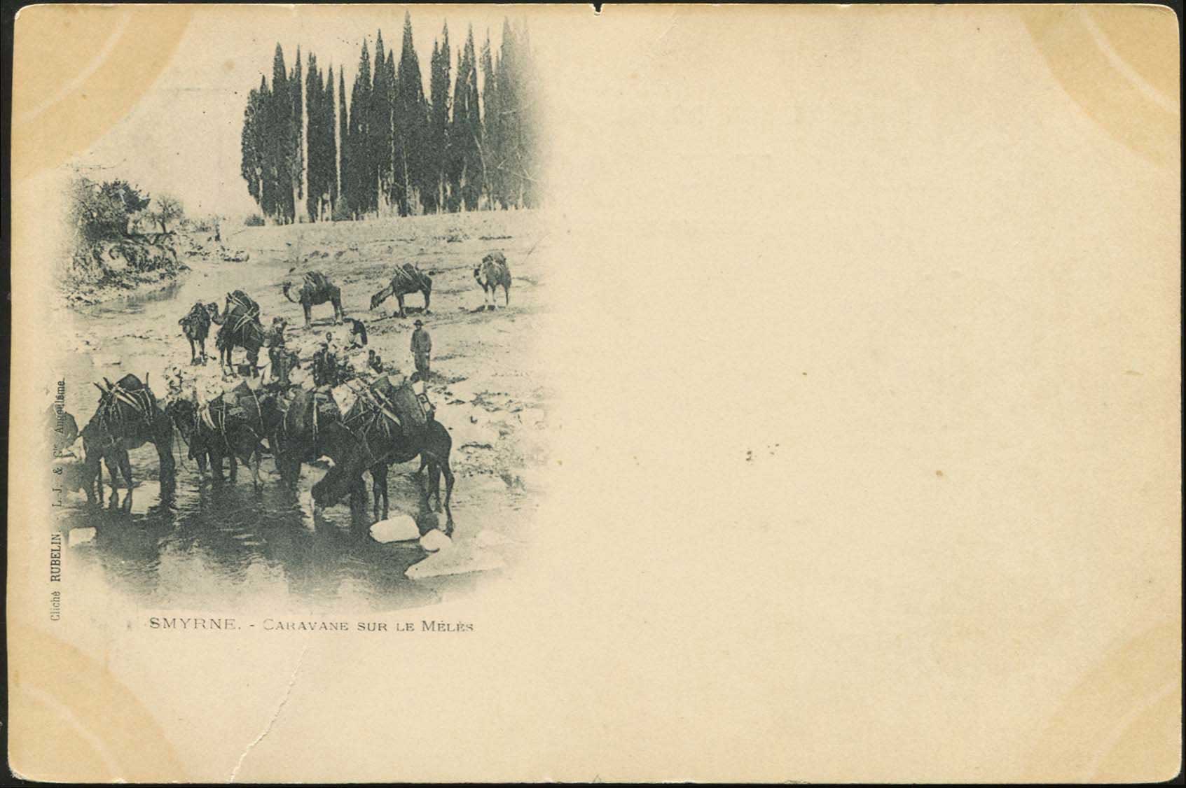 Lot 02123