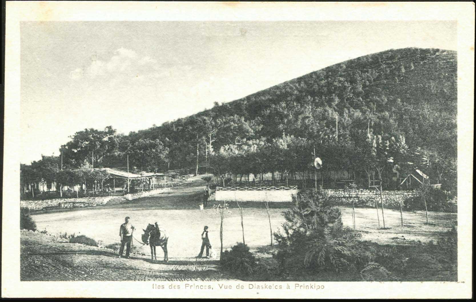 Lot 01823