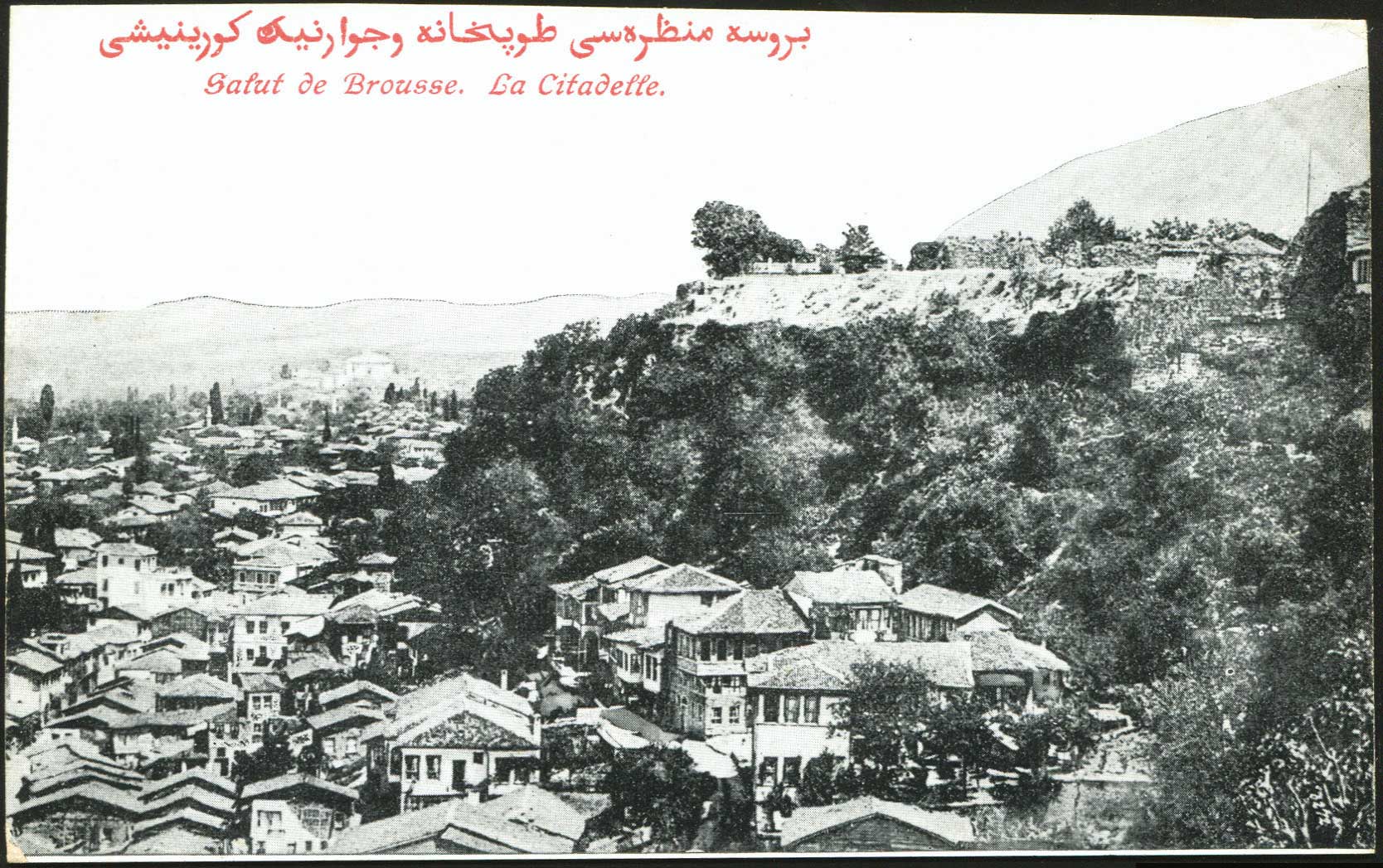 Lot 01840