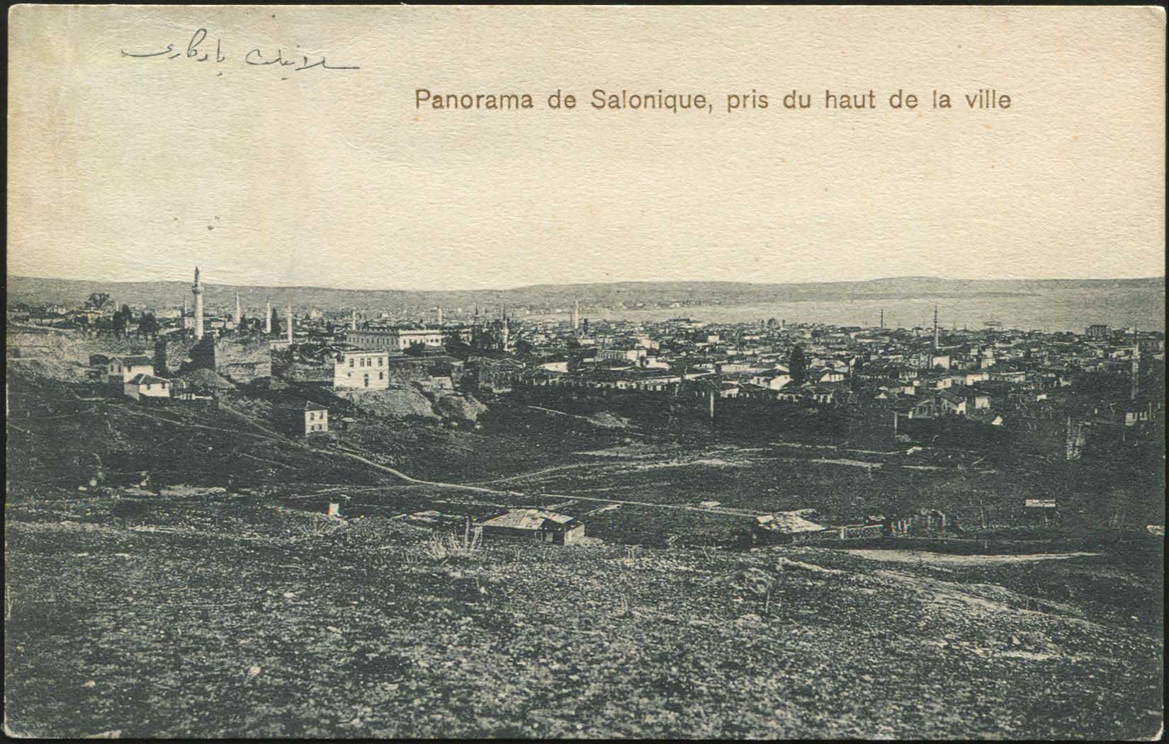 Lot 03247