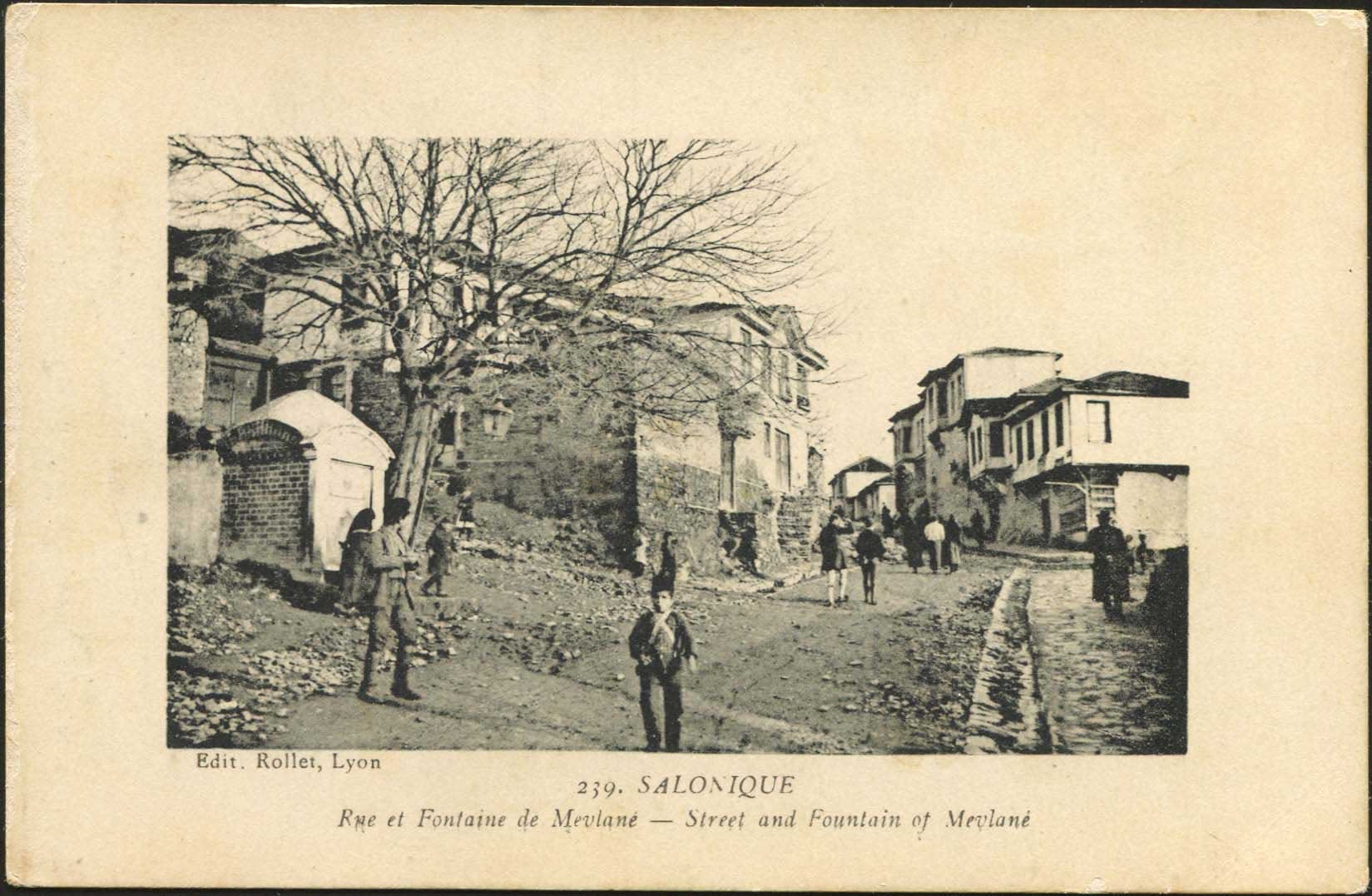 Lot 03251
