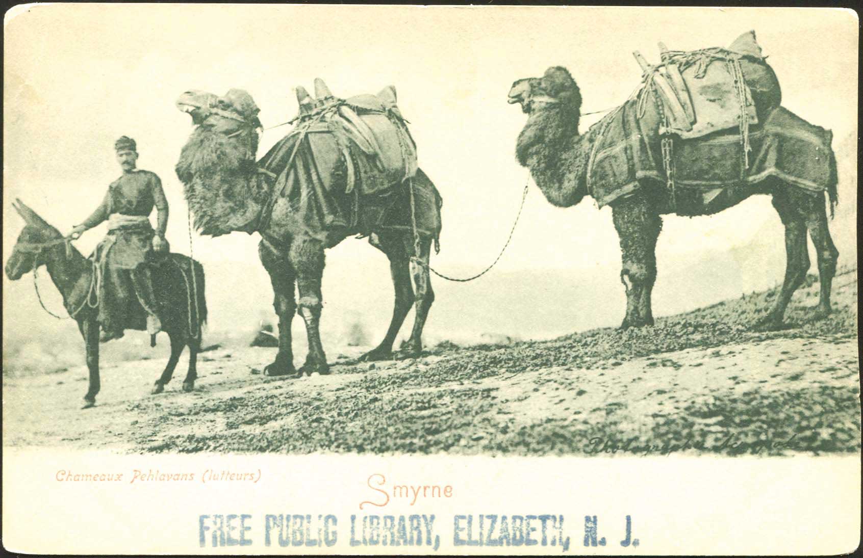 Lot 02434