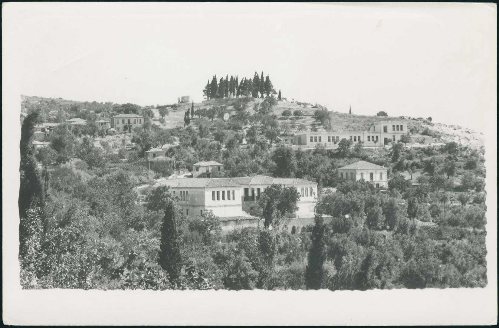 Lot 02116