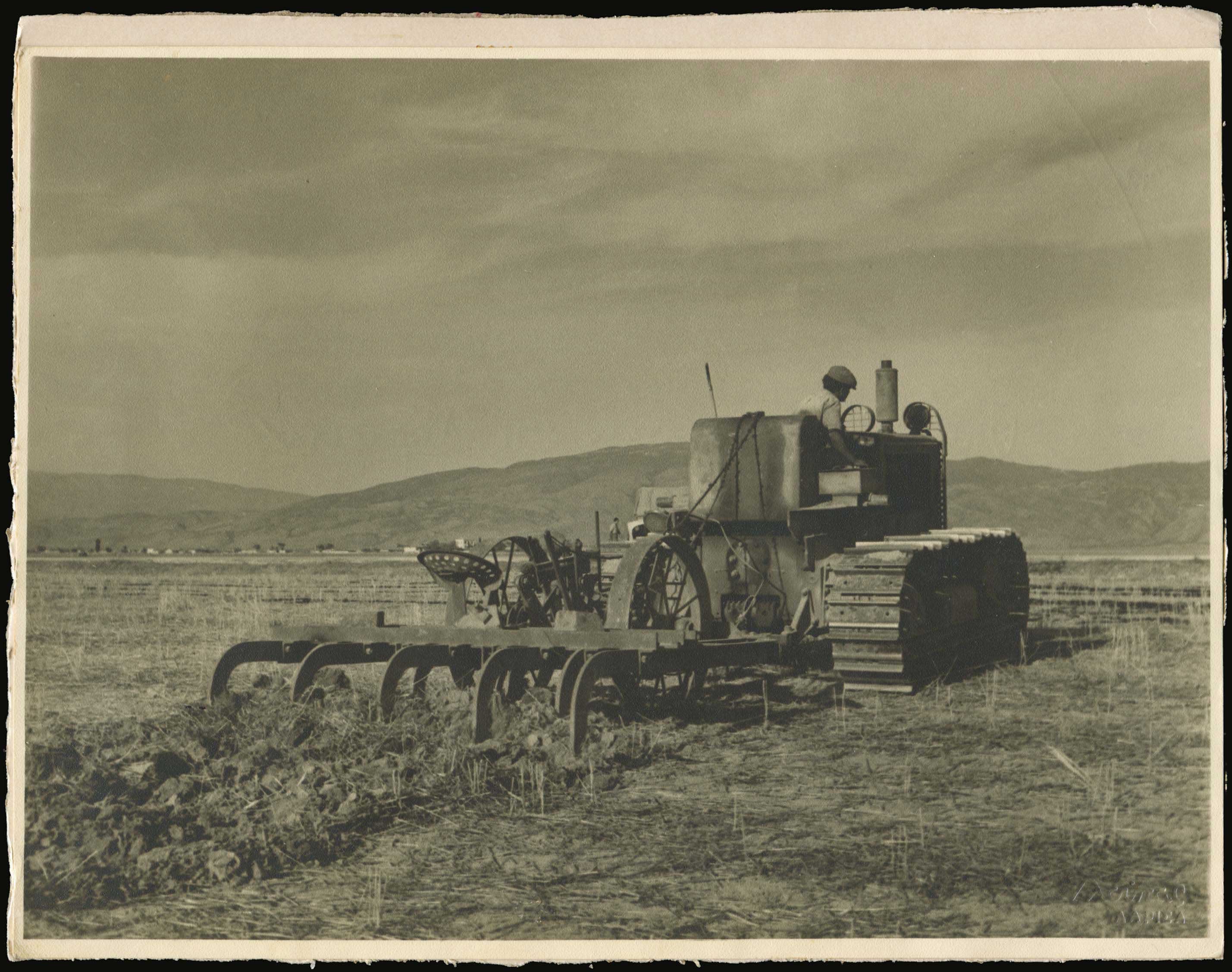 Lot 05396